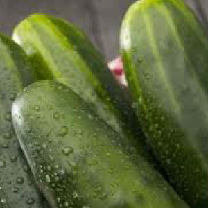 CUCUMBER Seeds, Straight Eight