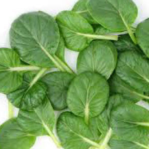 MUSTARD Seeds, Tatsoi