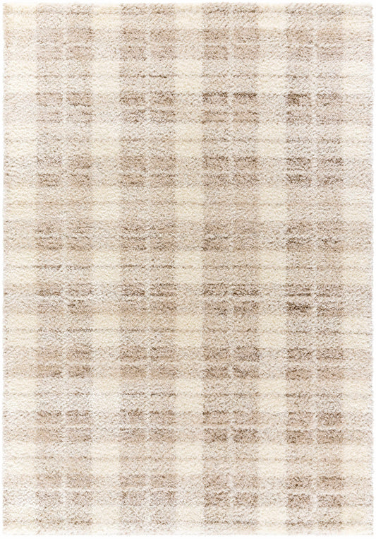 Anfisa Cream Luxe Shag Area Rug