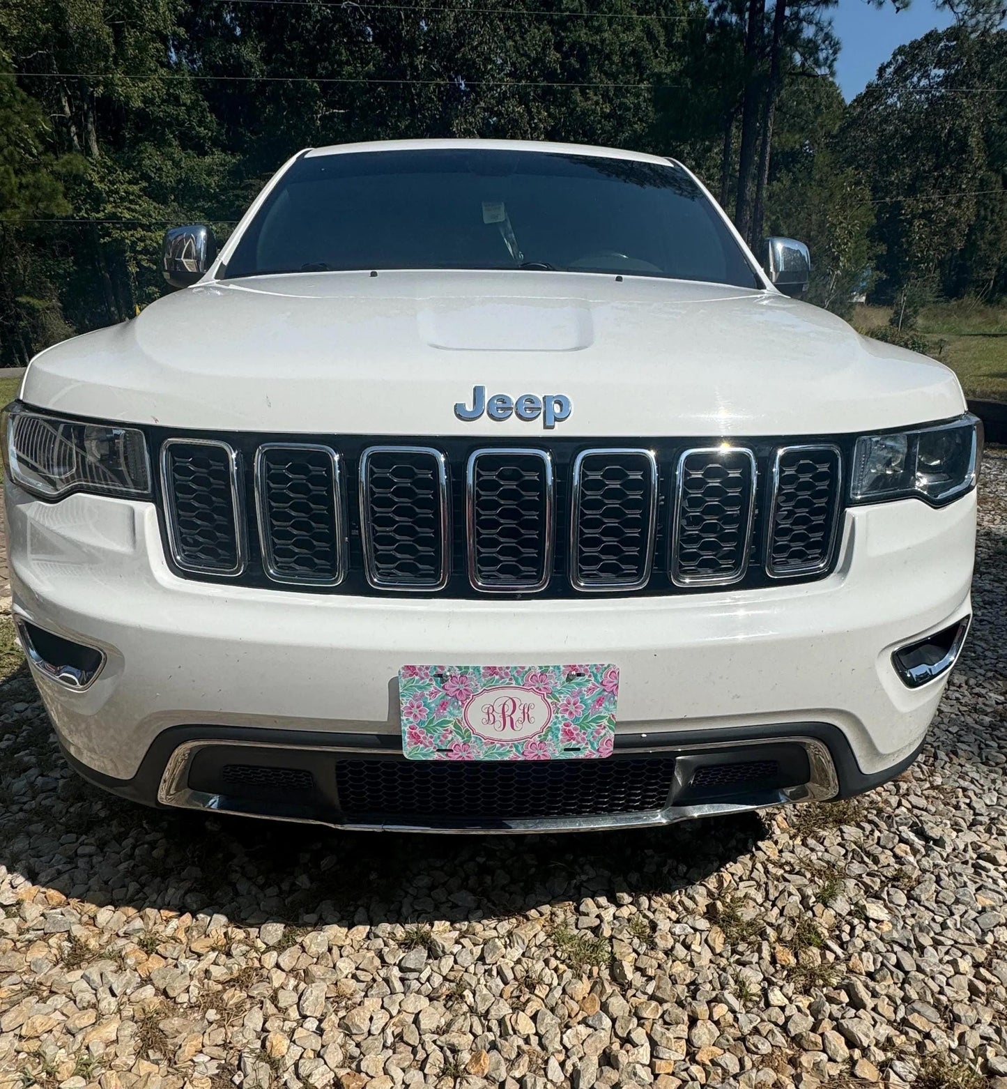 Personalized Car Tag, Tropical Pink and Green Monogram