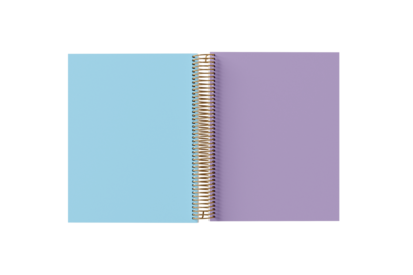 Blank Notebook - Holographic