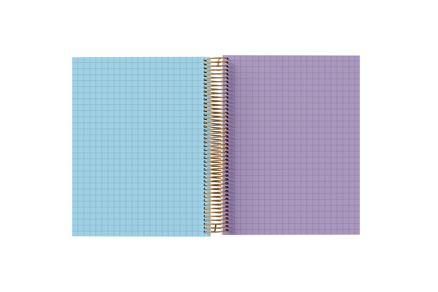 Graph Holographic Notebook