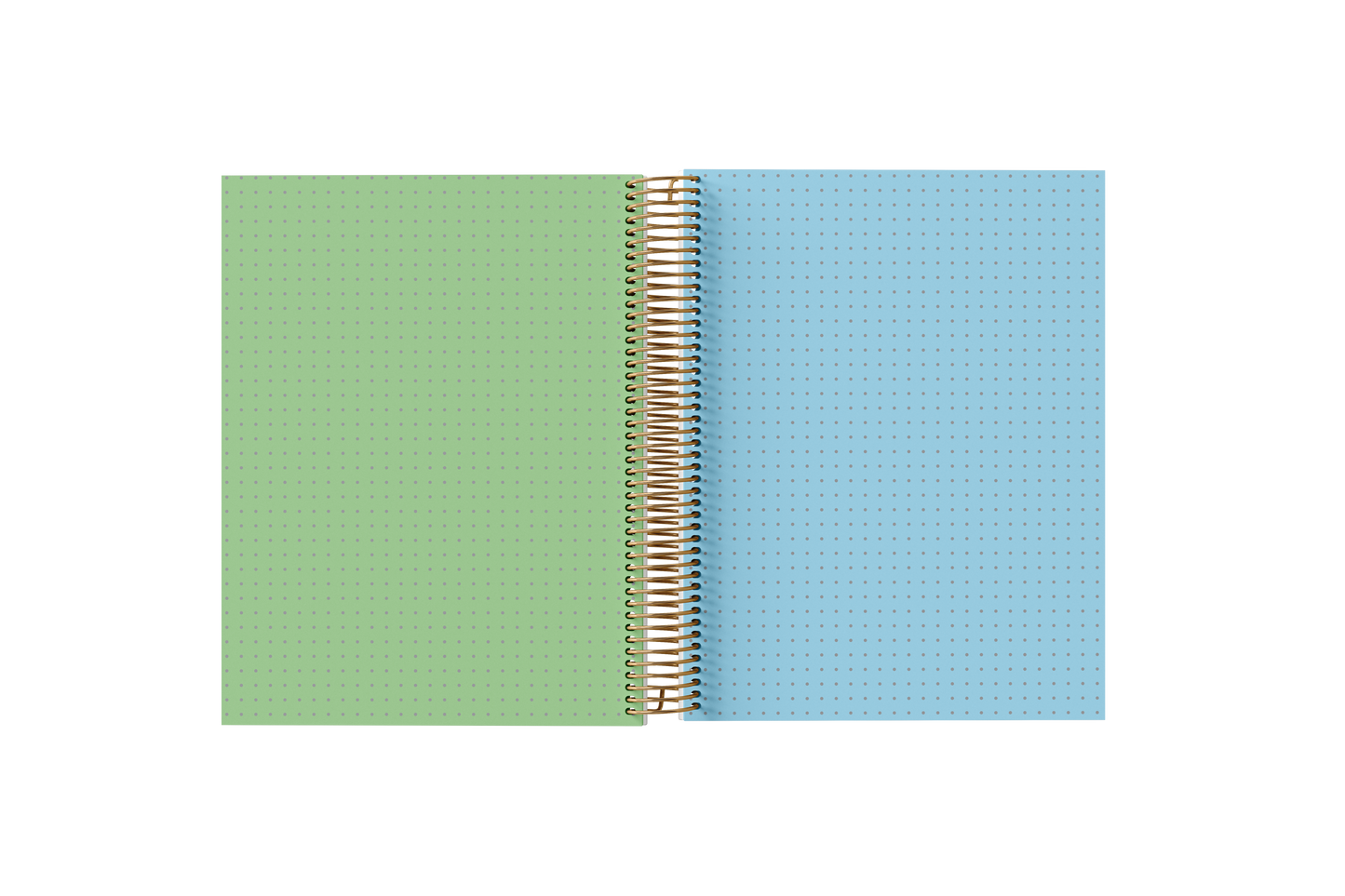 Dotted Grid Notebook - Holographic