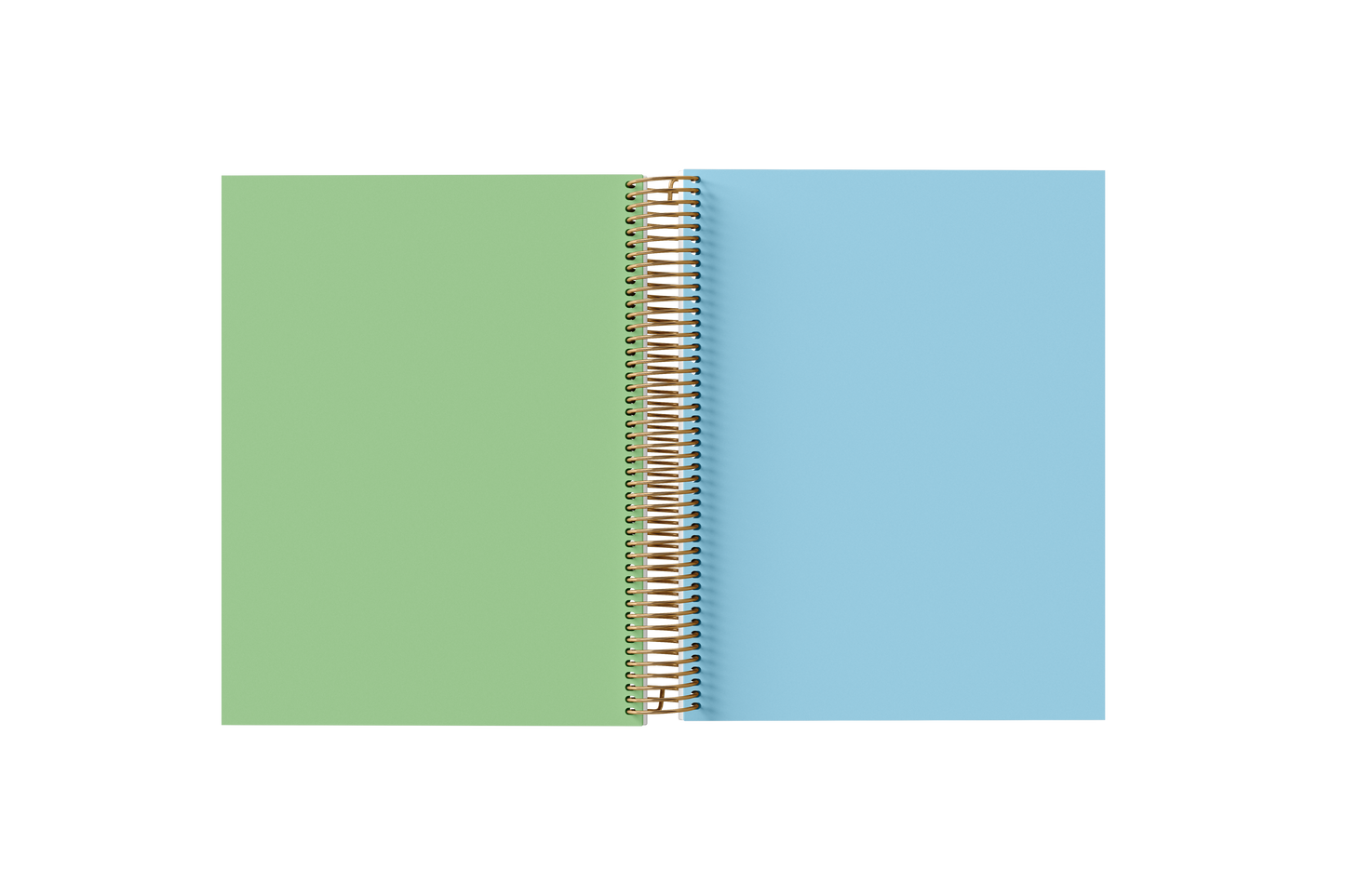 Blank Notebook - Holographic