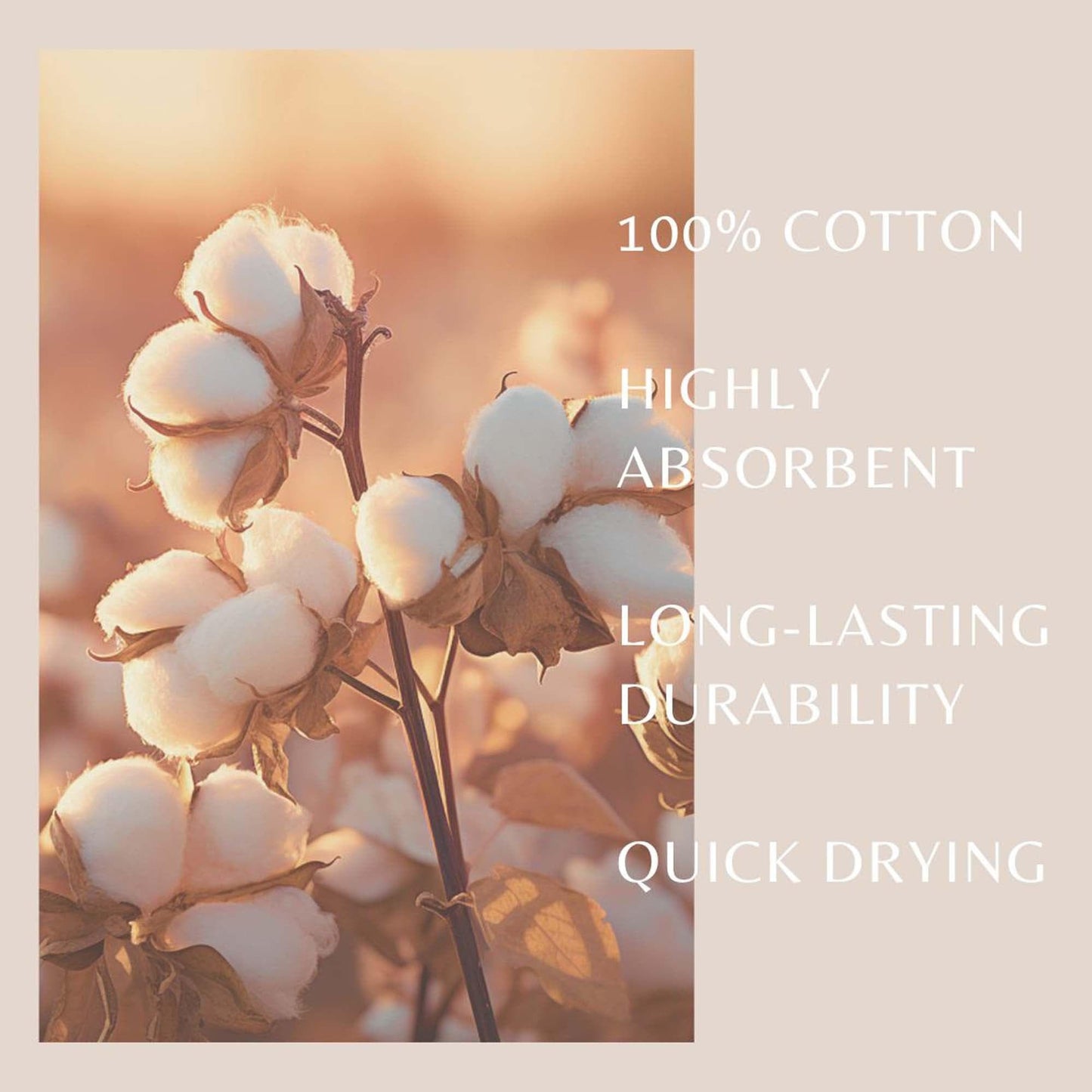6 Pack Cotton Hand Towels - Kasper Collection