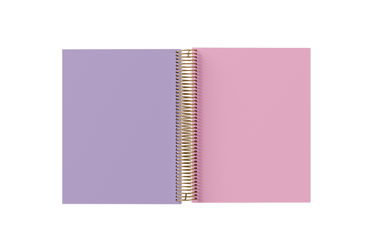 Blank Notebook - Holographic