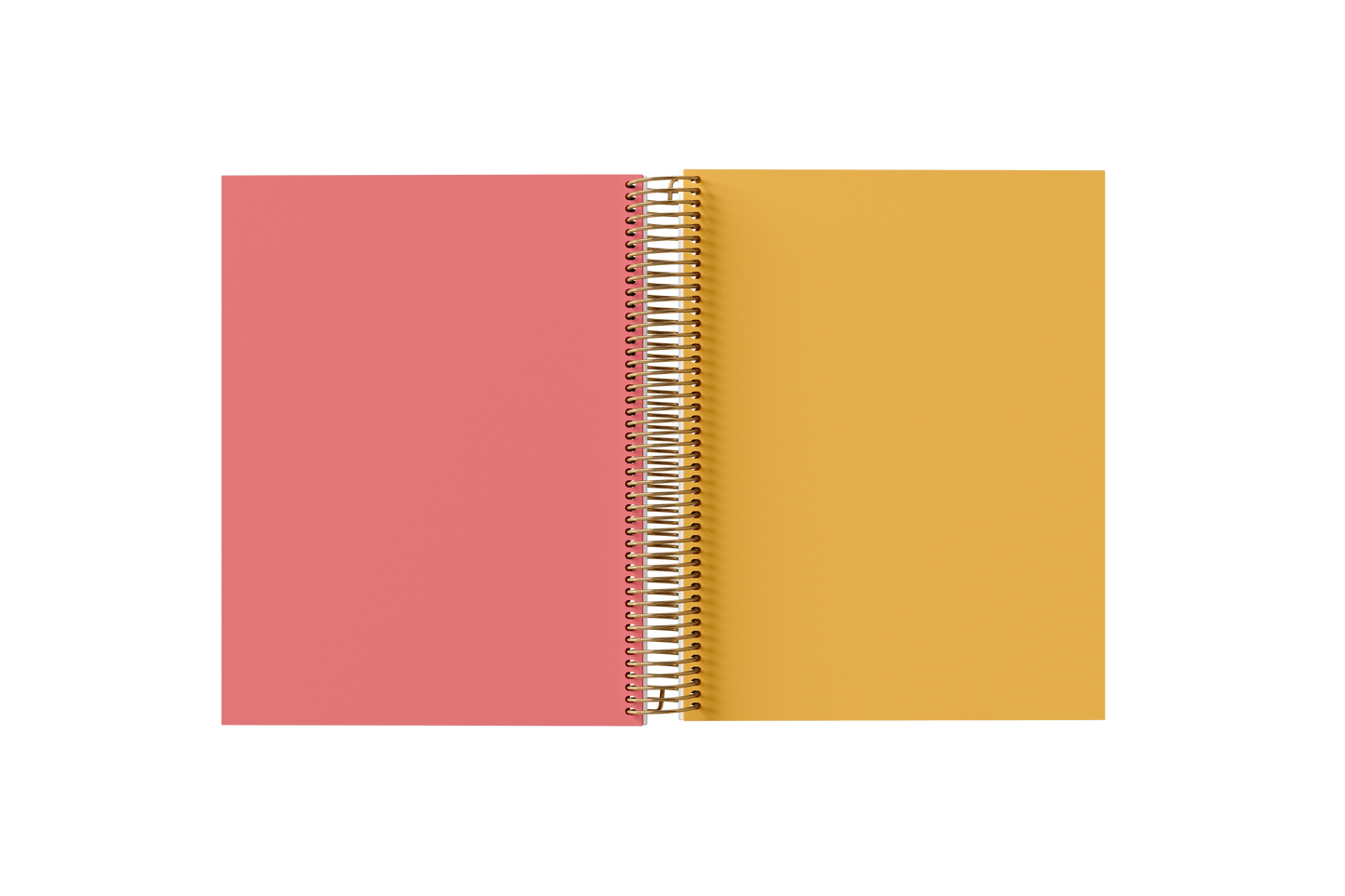 Blank Notebook - Holographic