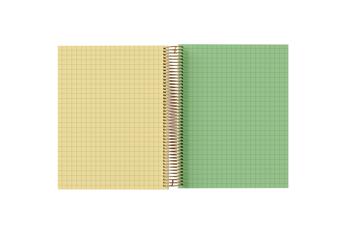 Graph Holographic Notebook
