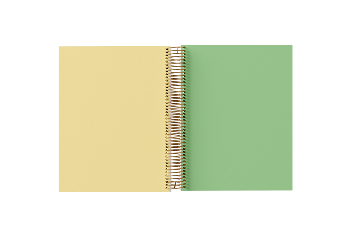 Blank Notebook - Holographic