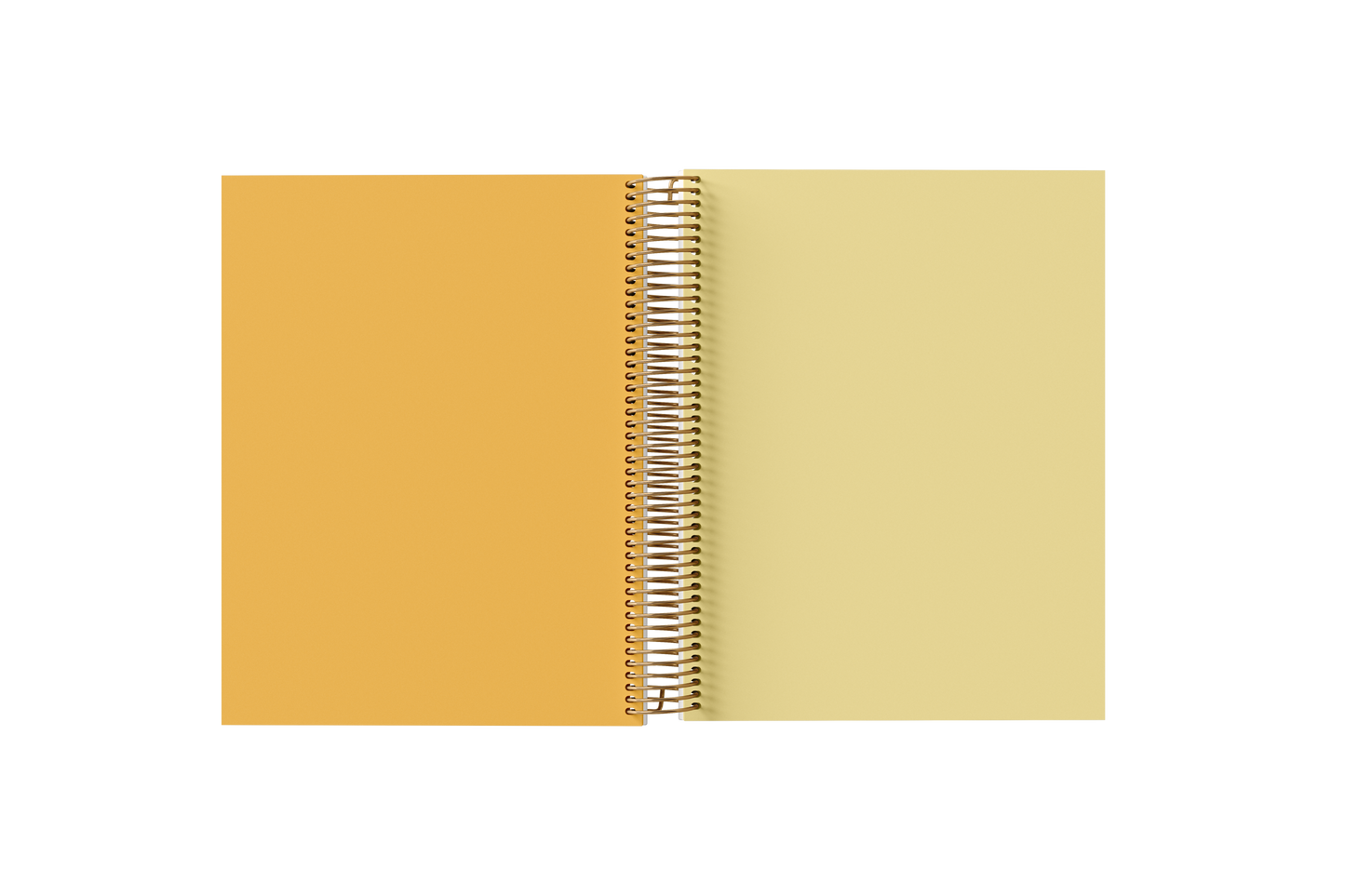 Blank Notebook - Holographic